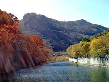 新澳天天开奖资料大全旅游团，商丘seo排名